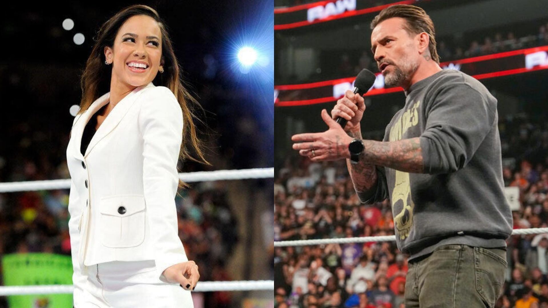Punk and Lee got married in 2014. [Image credits: WWE.com]